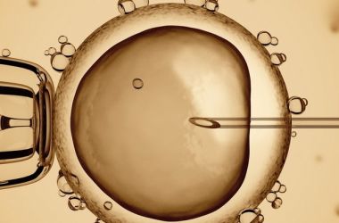 Фото: Схема подготовки к ЭКО