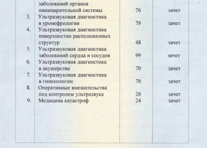 Приложение к диплому. Ншанян Сона Юрьевна.