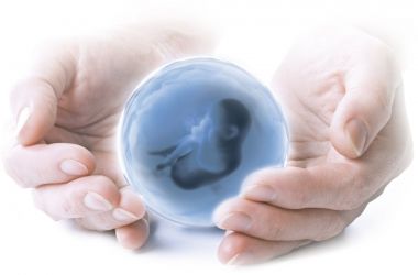 Фото: Подготовка к пункции фолликулов